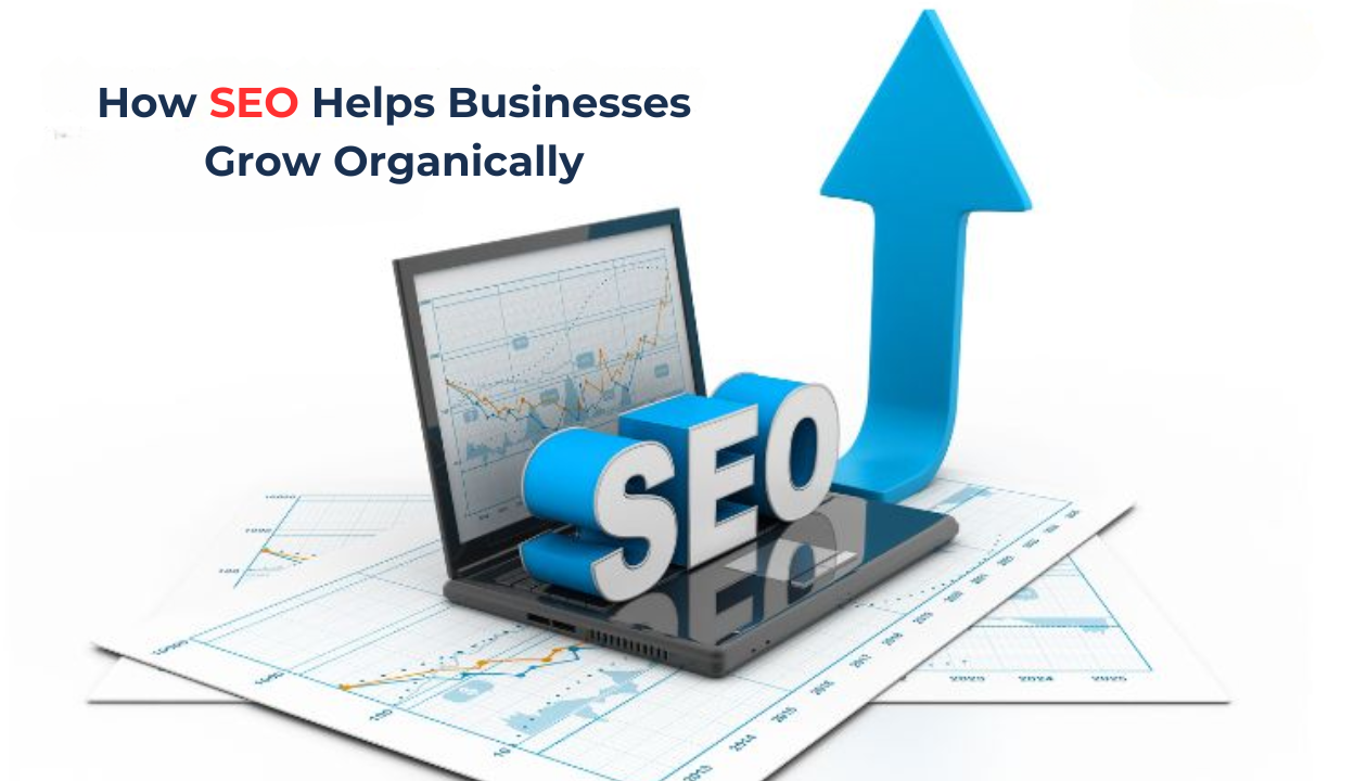 SEO Helps Businesses Grow Organically